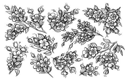 Flowers and leaves set vector. Floral elements vector. Collection of elements in vintage engraving styleのイラスト素材