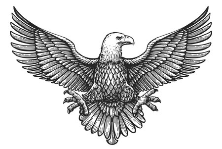Eagle with spread wings. Royal symbol hand drawn sketch in vintage engraving style. Vector illustrationのイラスト素材