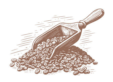 Grains of roasted coffee with a wooden spatula. Hand drawn sketch vintage vector illustrationのイラスト素材