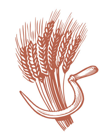 Sheaf of wheat and sickle. Cooking and baking flour, food ingredients. Agriculture, farm concept. Vector illustrationのイラスト素材