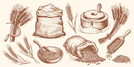 Farm wheat concept. Hand drawn bakery vector illustration set. Baking bread, food collectionのイラスト素材