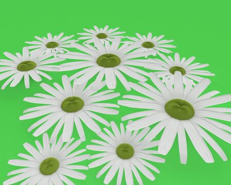daisies on a green backgroundの写真素材