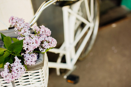 Vintage white bicycle with beautiful flowers in the basketの写真素材