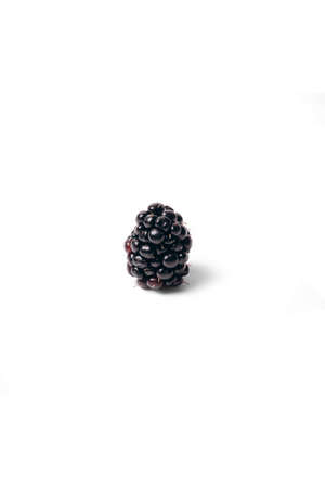Blackberry on a white background close-up ripe berry. Blackberry berry on white background ready to eat.の写真素材