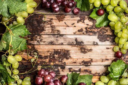 light and dark grapes with leaves and vines on a wooden background, top view, frameの写真素材