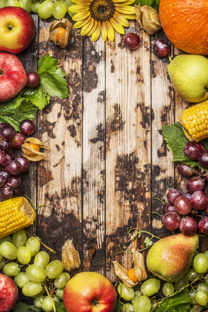 harvest fruits, berries and vegetables with sunflower on a rustic wood background, frame, top viewの写真素材