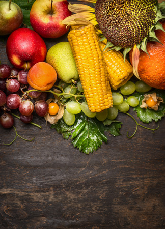 Different autumn harvest fruits with a sunflower and ear of corn on a wooden background, close up,top view,frameの写真素材