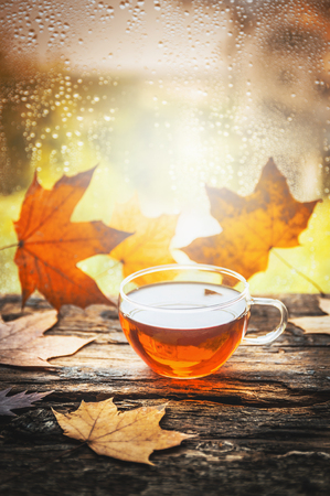 cup of tea with autumn leaves on wooden window sill, with autumn  nature backgroundの写真素材
