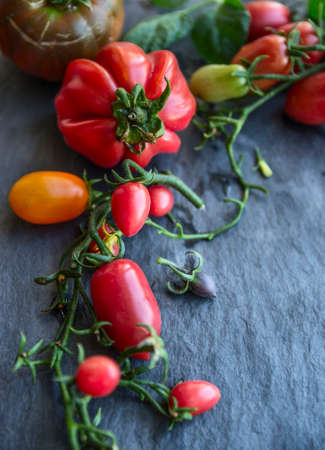 variety, colorful and fresh tomatoes on a branch with leaves on a dark background, close-upの写真素材