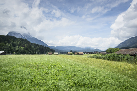 landscape in the Alps with fresh green meadows and blooming flowers and snowcapped mountain tops in the backgroundの写真素材