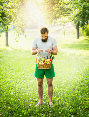 man with a beard and is holding a basket of apples in the background of the solar backgroundの写真素材