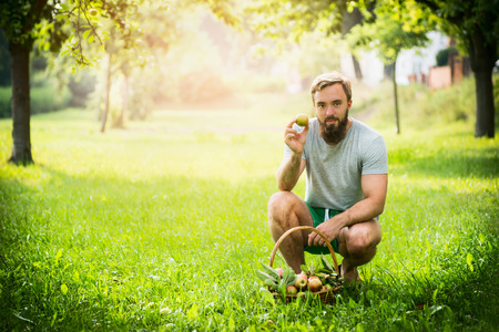 man with a basket of apples sitting on the grass in the park on a sunny green backgroundの写真素材