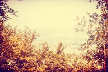 Yellow autumn  blur landscape with trees and skyの写真素材