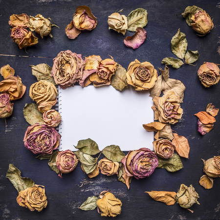 many buds withered roses with petals, laid out around a sheet of paper with text area, vintage style on wooden rustic background top view close upの写真素材