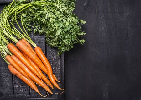 fresh carrots from the garden in a black wooden box on woborder, place for text wooden rustic background top viewの写真素材