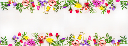 banner for the web site, various multicolored spring flowers, space for text, top viewの写真素材