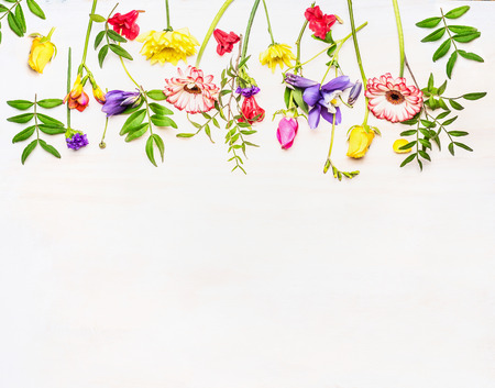 variety of colorful spring flowers lined Border, space for text, top viewの写真素材
