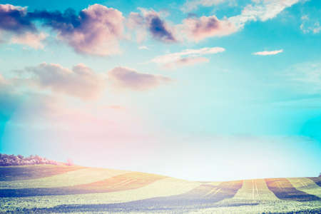beautiful natural landscape, field, beveled stripes in the sunlight, with a sunset sky, blurred backgroundの写真素材