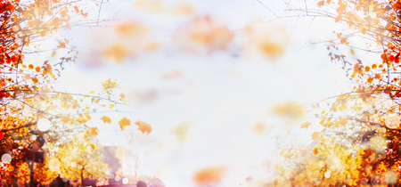 autumn blurred bokeh background with branches and leaves of trees and blue skyの写真素材