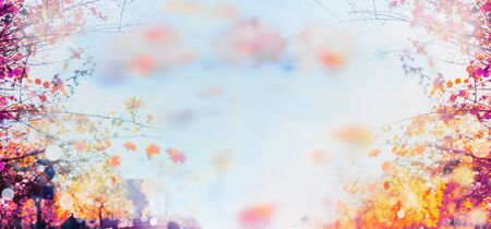 autumn background blurred bokeh landscape trees, leaves and skyの写真素材