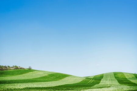Beautiful summer landscape background , outdoor nature background for a Web siteの写真素材