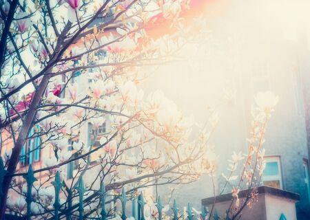 sunny city summer landscape, lots of greenery, beautiful house and trees in the foregroundの写真素材