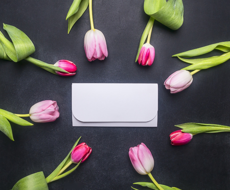 Multicolored tulips lined on a dark chalkboard with a frame, on the centerの写真素材