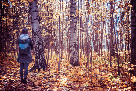 autumn forest landscape yellow leaves lie on the ground, various plants, the girl looks at the forestの写真素材