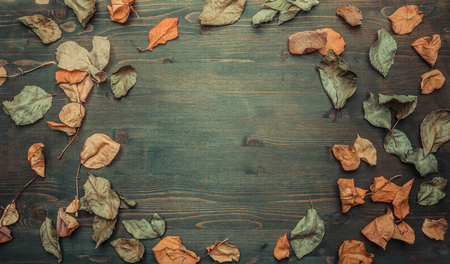 autumn composition, colorful leaves lined with frame on a wooden background, space for text, top viewの写真素材