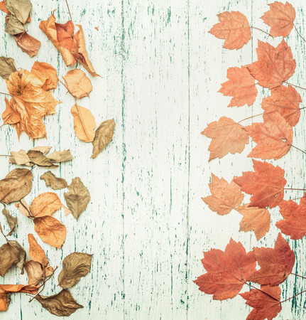 autumn composition, various yellow leaves, on a wooden background, space for text flat layの写真素材