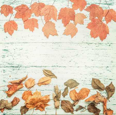 autumn composition, various yellow leaves, on a wooden background, space for text flat layの写真素材