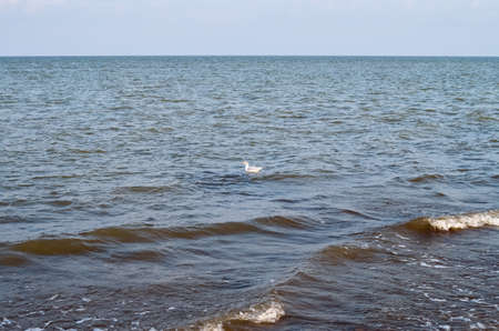 landscape postcard. background. blank for designer, illustrator, painter. beautiful summer sea view. seafront. tourismの写真素材