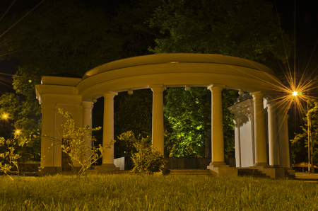 Arch in night parkの写真素材