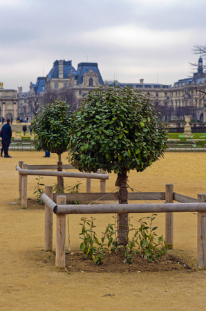 Parks and alleysの写真素材