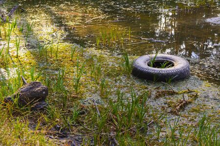 The old wheel, thrown into a dried-up lakeの写真素材