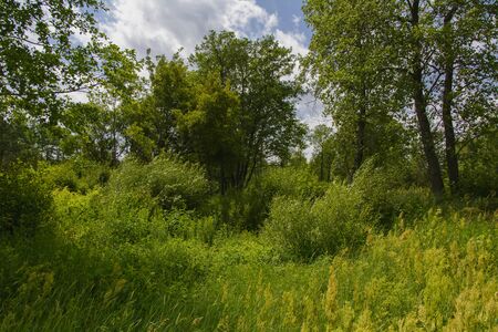 Monastery of Our Lady of Kazan.  Nature near the monastery.の写真素材