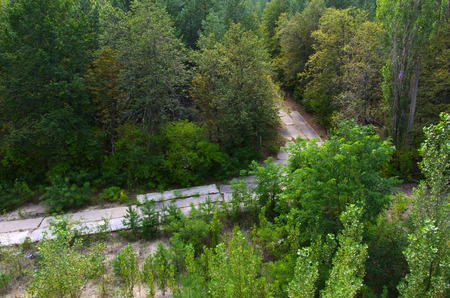 An old abandoned road in the exclusion zone. Dead military unit. Consequences of the Chernobyl nuclear disaster, August 2017.の写真素材
