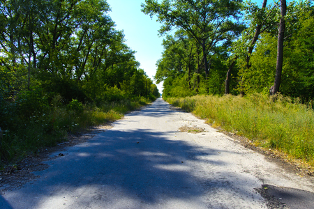 Destroyed houses in which people lived in a dead radioactive zone. Consequences of the Chernobyl nuclear disaster and vandalism, August 2017.のeditorial素材