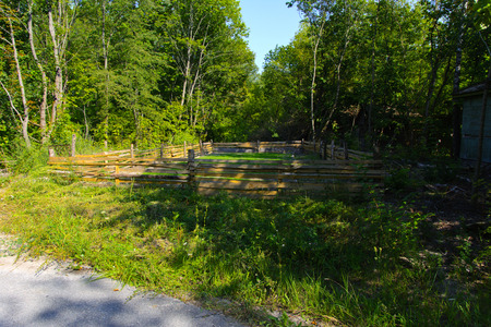 Destroyed houses in which people lived in a dead radioactive zone. Consequences of the Chernobyl nuclear disaster and vandalism, August 2017.のeditorial素材