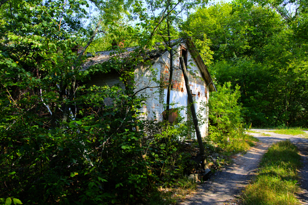Destroyed houses in which people lived in a dead radioactive zone. Consequences of the Chernobyl nuclear disaster and vandalism, August 2017.のeditorial素材