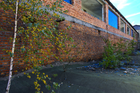 The destroyed building of the factory workshop, which worked in the defense industry of Ukraine. The trees grew on the roof. Robbery and an act of vandalism. September 2017のeditorial素材