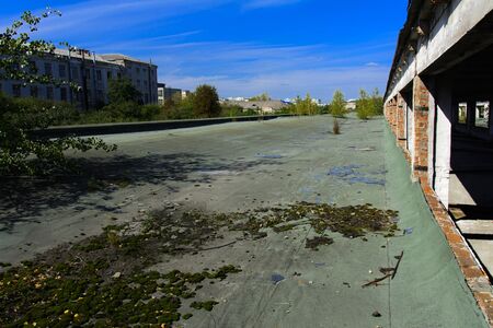 The destroyed building of the factory workshop, which worked in the defense industry of Ukraine. The trees grew on the roof. Robbery and an act of vandalism. September 2017の写真素材