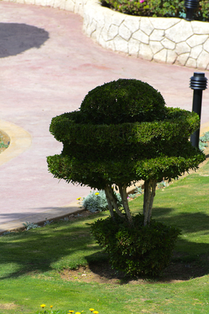 The courtyards of a magnificent white hotel on a summer day. The concept of tourism, vacations and luxury recreation.の写真素材
