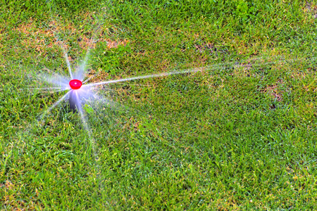The modern device of the irrigation garden. Automatic sprinkler system of lawn watering on a background of green grass, close-up. Irrigation system - irrigation technique.の写真素材