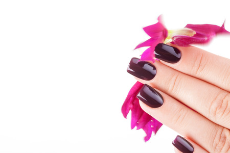 Beautiful nails and flower close-up, great idea for the advertising of cosmetics.の写真素材