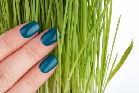 Beautiful and neat nails green closeup.