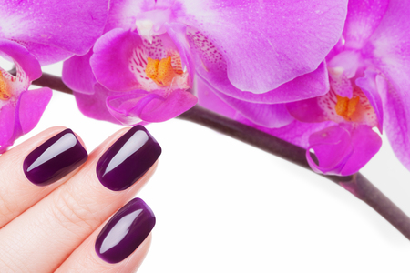 Beautiful red nails and flower close-up.の写真素材