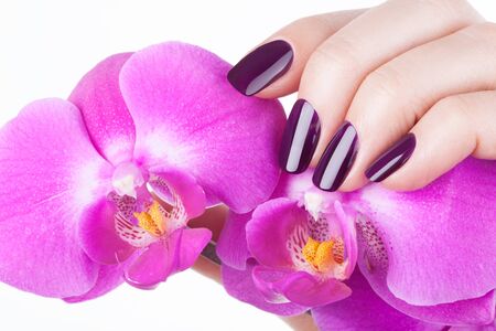 Beautiful red nails and flower close-up.の写真素材