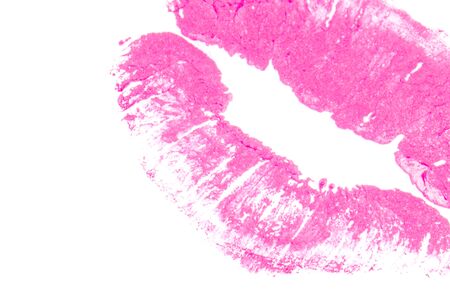 Red shine on natural lips close-up.の写真素材