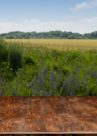 Beautiful wooden table in nature in summerの写真素材
